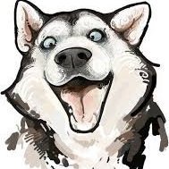 luckydoger
